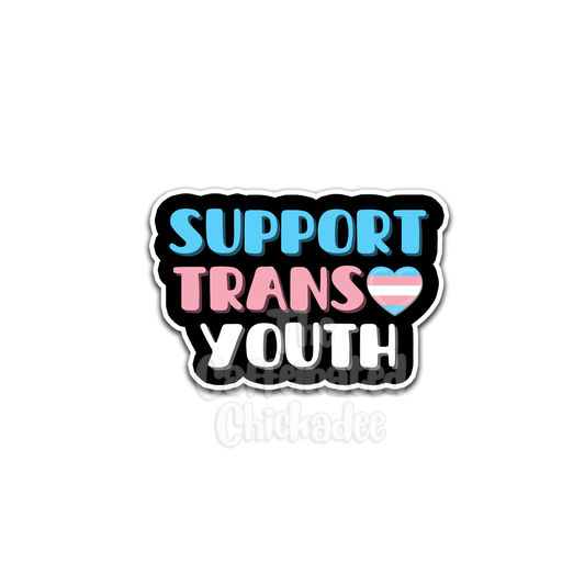 Support Trans Youth - Vinyl Sticker